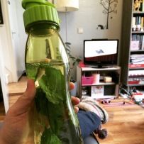 Muntbladeren toevoegen aan flesje water, net wat meer smaak